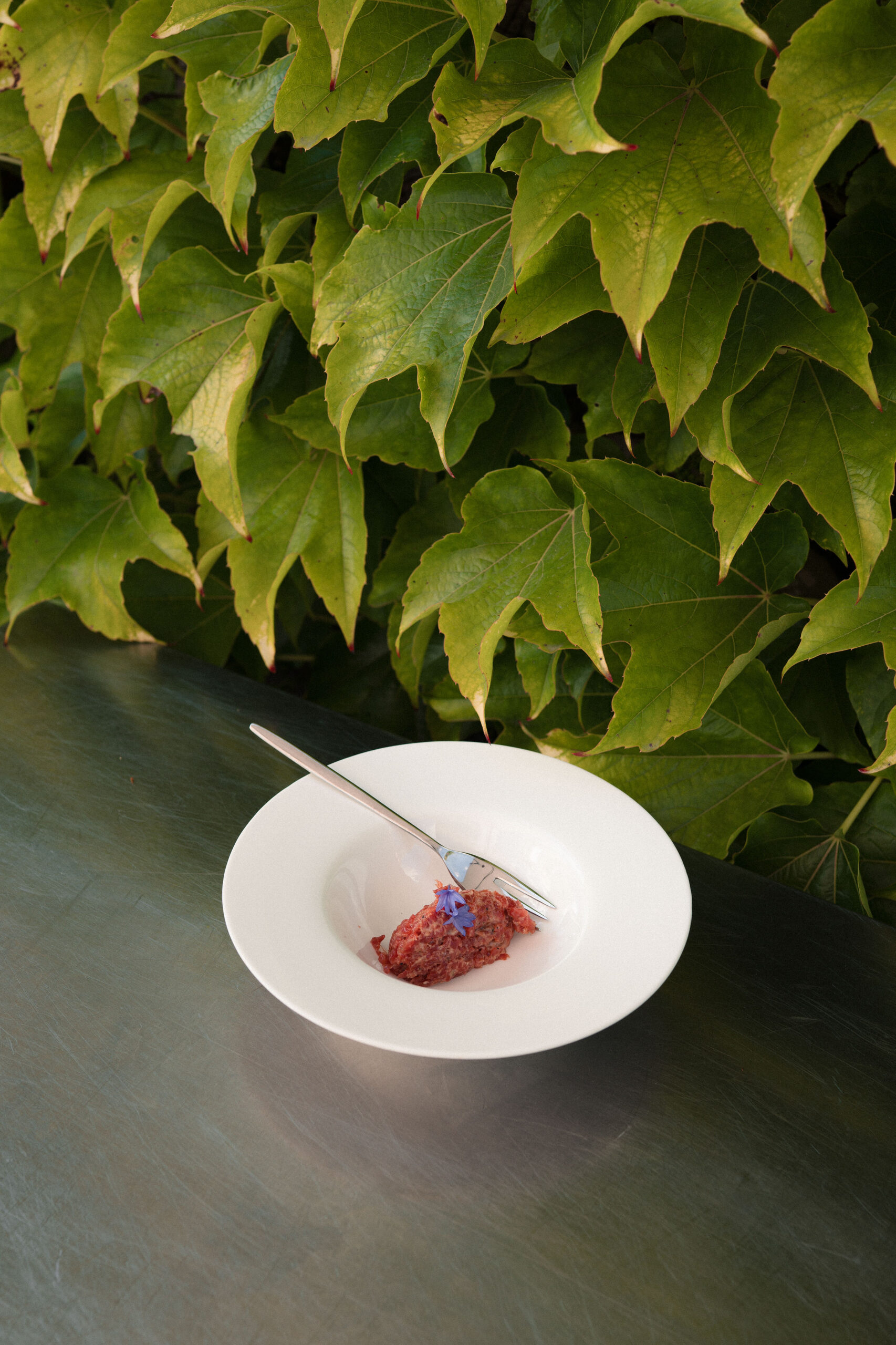 Impakt project image